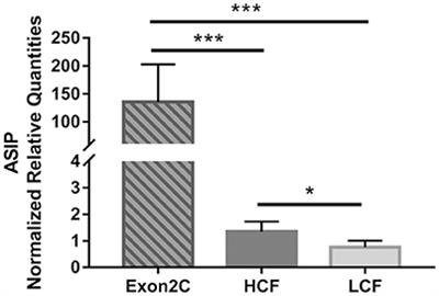 Agouti Signaling Protein and Its Receptors as Potential Molecular Markers for Intramuscular and Body Fat Deposition in Cattle